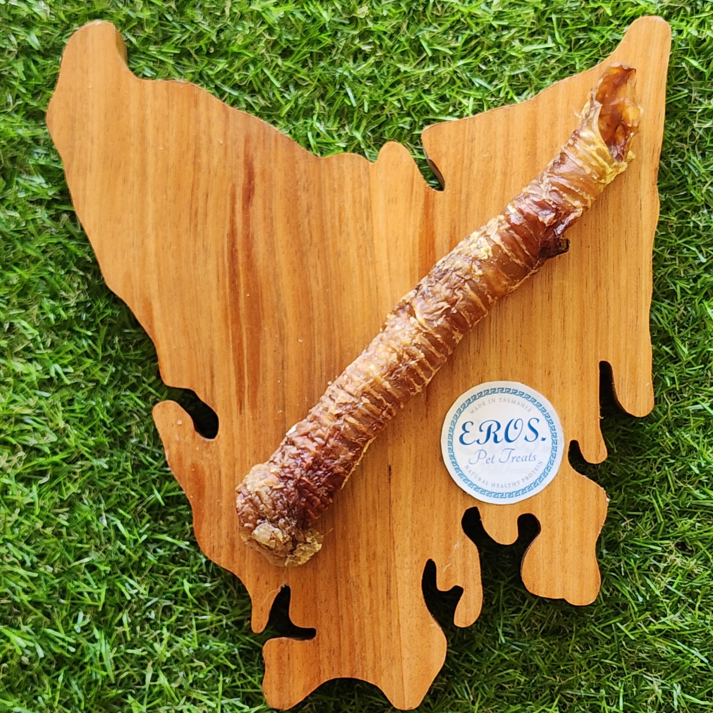 PORK TRACHEA