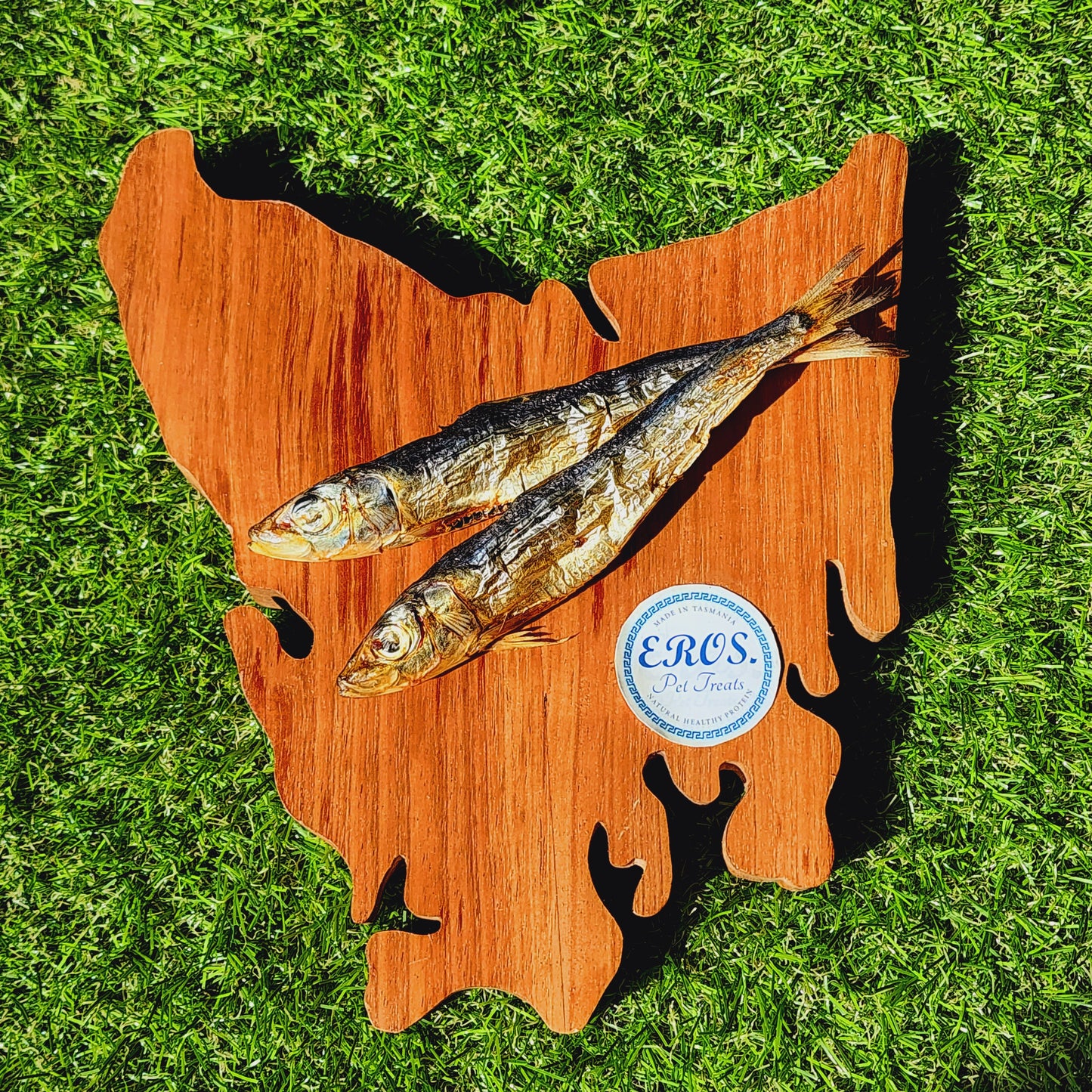 SARDINES